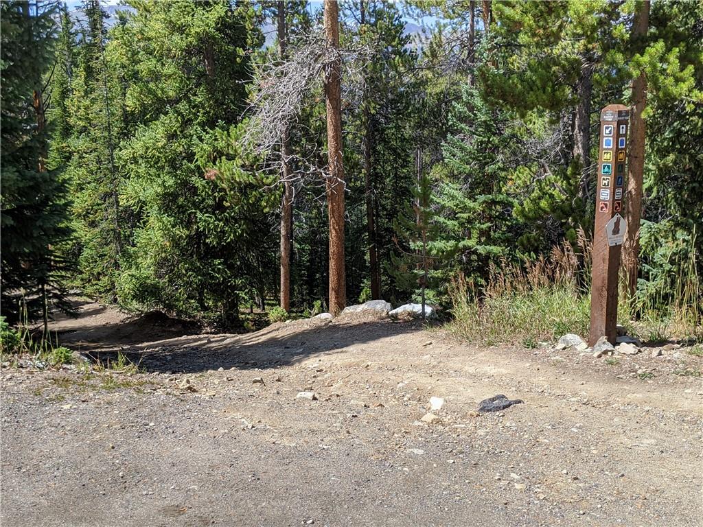 0190 Berlin Placer Road Breckenridge CO 80424