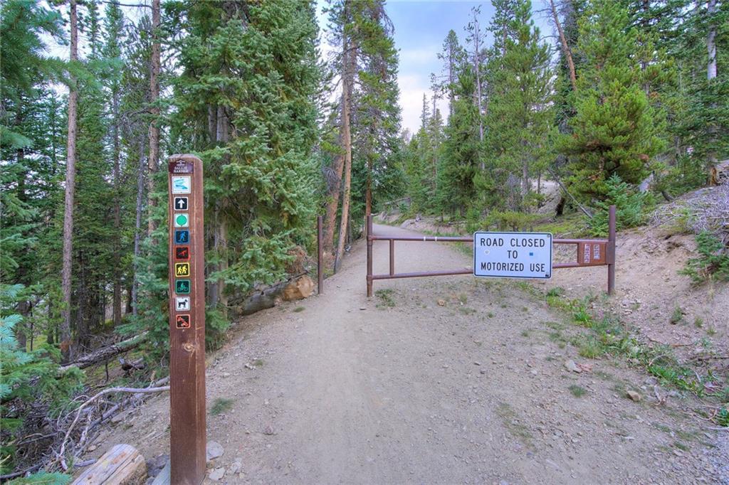 0190 Berlin Placer Road Breckenridge CO 80424