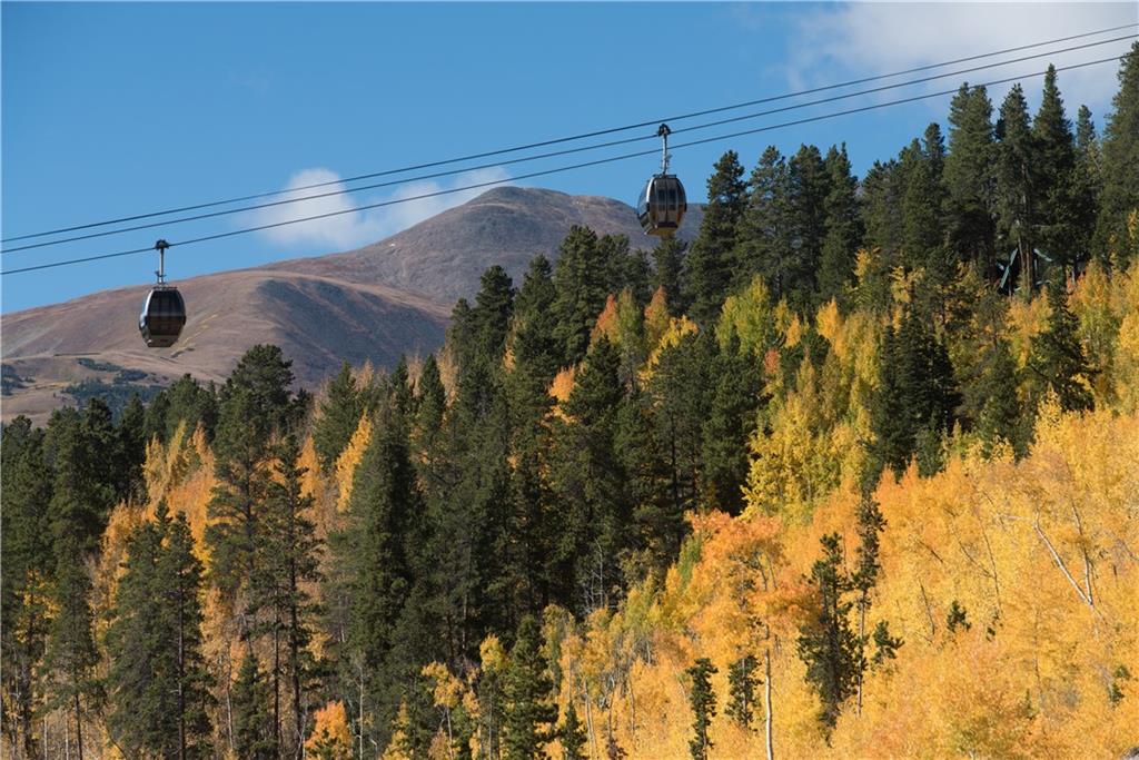 0190 Berlin Placer Road Breckenridge CO 80424