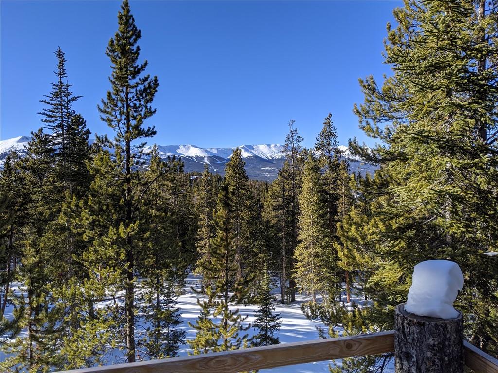 0190 Berlin Placer Road Breckenridge CO 80424