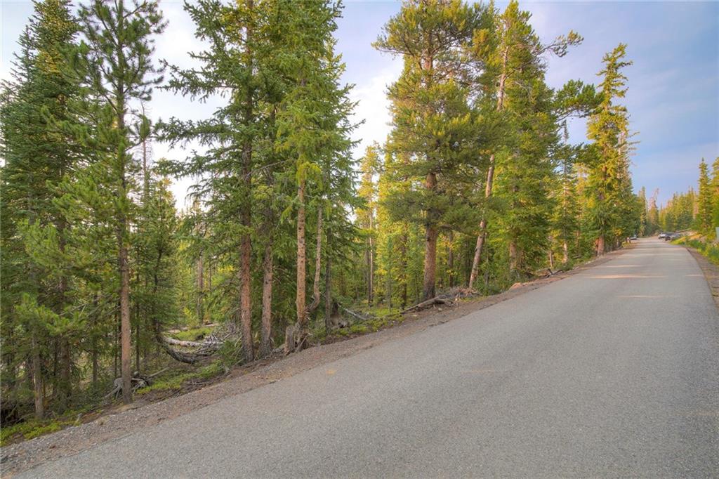 0190 Berlin Placer Road Breckenridge CO 80424