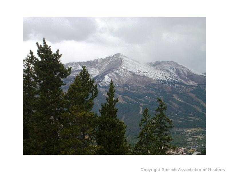 56 View Lane Breckenridge CO 80424